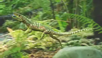 Reconstruction d'Euparkeria par Taenadoman.