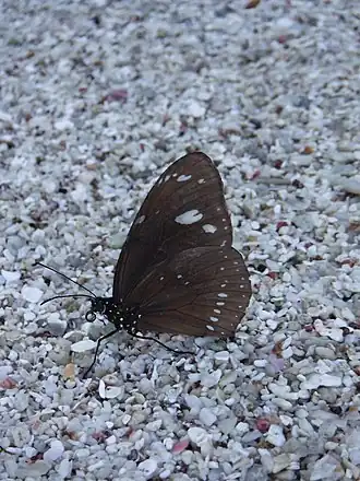 Description de cette image, également commentée ci-après