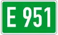 E951