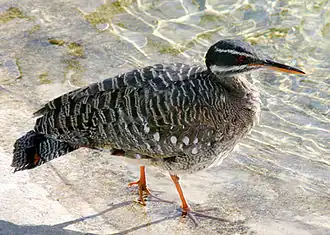 Description de cette image, également commentée ci-après