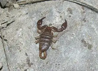 Description de cette image, également commentée ci-après