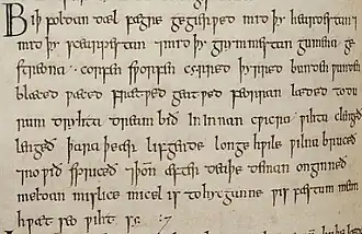 Portion du Livre d’Exeter (xe&nbsp;siècle) avec la forme du g insulaire pour la lettre g.