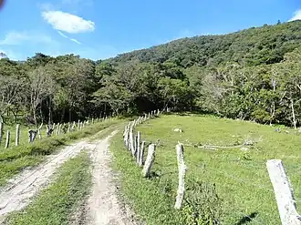 Constitución (paroisse civile)