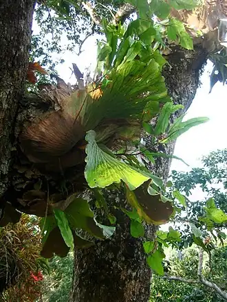 Description de cette image, également commentée ci-après