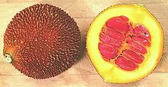 Description de l'image Exterior and cross-sectional interior of gac.jpg.