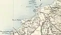 Kalmoun (Calamus) en 1862