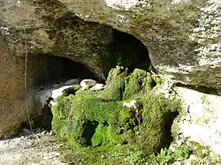 Le touron (source troglodytique) de Rouquette.