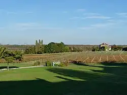 Les vignobles vus depuis l'église