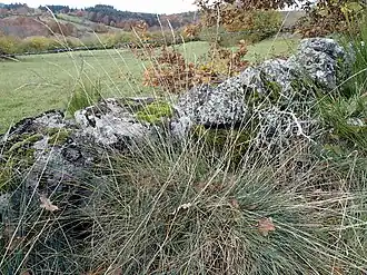 Description de cette image, également commentée ci-après