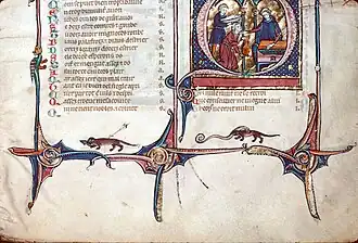 F009-Loutres, poisson et anguille