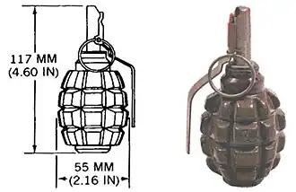 Image illustrative de l'article Grenade F1 (Russie)