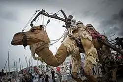 Animation Paimpol2015