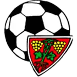 Logo du FC Rarogne