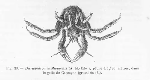 Description de cette image, également commentée ci-après