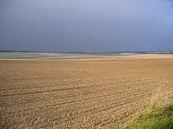 Des champs entre Auxon et Neuvy-Sautour.