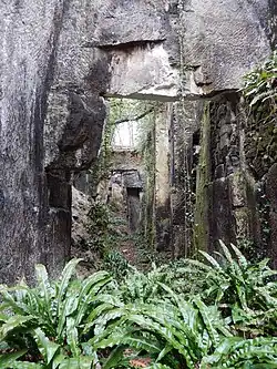 Vue d'un corridor tracé dans d'anciennes carrières de pierre de Crazannes, avec, au pied des falaises de pierre calcaire, des fougères.