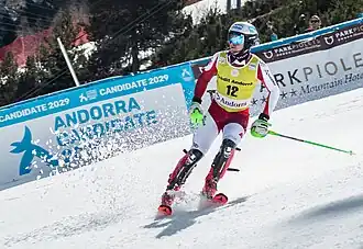 Image illustrative de l’article Fabio Gstrein