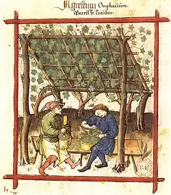 Récolte du raisin blanc pour faire du verjus (Tacuinum sanitatis, 1474).