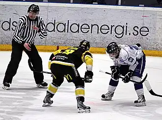 Photographie couleur d'un match de hockey