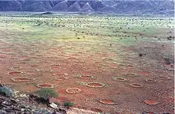 Densité des cercles de fées en Namibie.