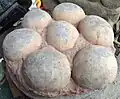 Faux nid d’œufs de dinosaures en Chine (1/2)