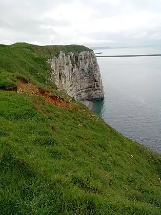 Vue du cap d'Antifer depuis le sommet des falaises avec en arrière-plan le port pétrolier.