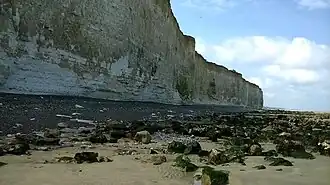 Falaises de craie de Quiberville.