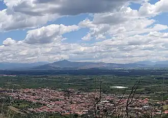 Falciano del Massico