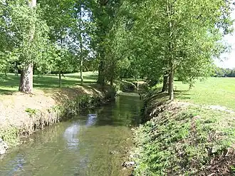 L'Orneau à Falnuée.