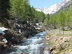 Le Valsura près du Weißbrunnsee