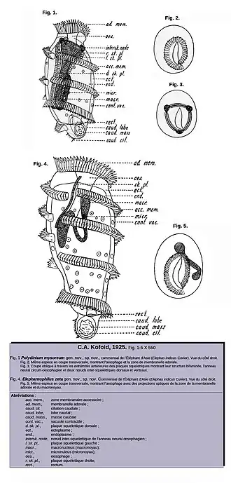 Description de cette image, également commentée ci-après