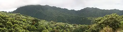 Photo montrant les montagnes et la jungle du centre de l'île.