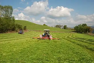 Fauchaison et fanage au Courès.