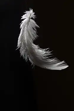 Image illustrative de l’article Les Trois Plumes