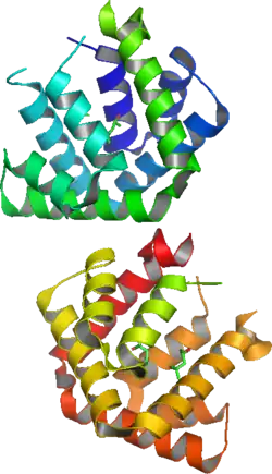Description de cette image, également commentée ci-après