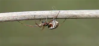 Description de cette image, également commentée ci-après