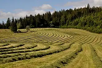 Fenaison aux Pontets.
