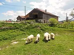 Ferme des Louisots (XVe&nbsp;siècle-XIXe&nbsp;siècle)