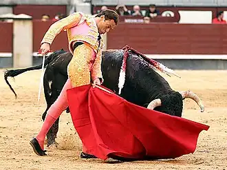 Image illustrative de l’article Fernando Cepeda