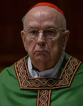 Image illustrative de l’article Fernando Vérgez Alzaga