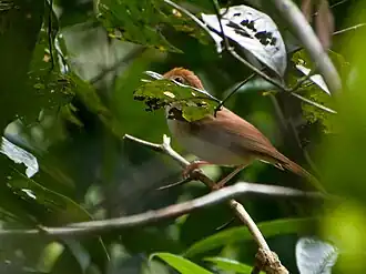Description de cette image, également commentée ci-après