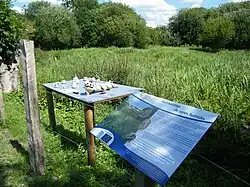 Inventaire de la faune du marais.