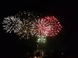 Feux d'artifice organisés pour le 14 juillet 2019.