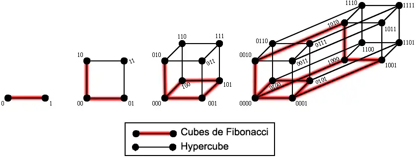 Les cubes de Fibonacci 
  
    
      
        F
        
          C
          
            1
          
        
        ,
        F
        
          C
          
            2
          
        
        ,
        F
        
          C
          
            3
          
        
        ,
        F
        
          C
          
            4
          
        
      
    
    {\displaystyle FC_{1},FC_{2},FC_{3},FC_{4}}
  
 comme sous-graphes des hypercubes 
  
    
      
        
          Q
          
            1
          
        
        ,
        
          Q
          
            2
          
        
        ,
        
          Q
          
            3
          
        
        ,
        
          Q
          
            4
          
        
      
    
    {\displaystyle Q_{1},Q_{2},Q_{3},Q_{4}}
  
.