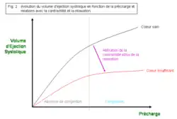 Figure 2 : évolution du volume d’éjection systolique en fonction de la précharge et relations avec la contractilité et la relaxation