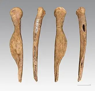 Image illustrative de l’article Fontalès