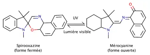Fig 1: Équilibre entre la forme fermée (Spirooxazine) et la forme ouverte (Mérocyanine)