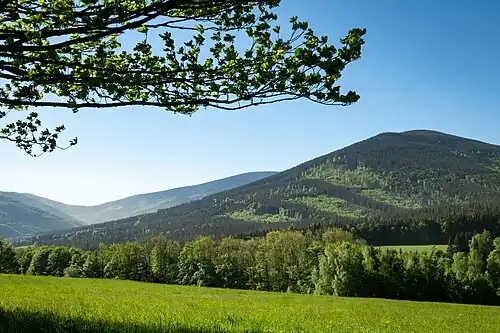 Filipovice.