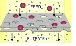 Diagramme de filtration simple : les particules les plus grosses du «flux» ne peuvent pas traverser le réseau.