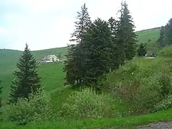 Les derniers hectomètres de l'ascension à la sortie de la forêt. Vue notamment sur la ferme-auberge de Rothenbrunnen.